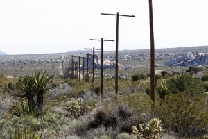 Endless miles of electricity poles @ Mojave National preserve